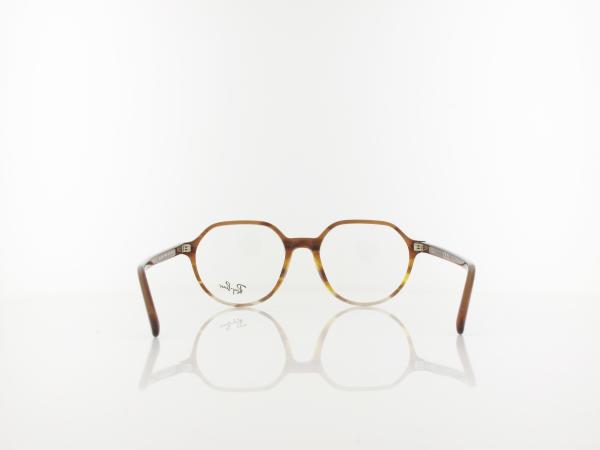 Ray Ban | Thalia RX5395 8253 51 | striped brown gradient yellow