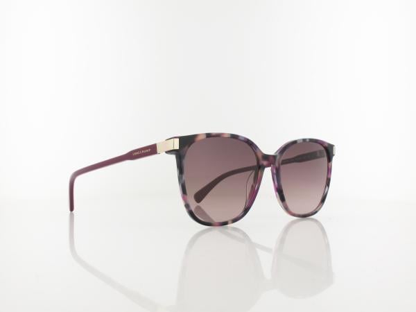Longchamp | LO612S 219 54 | havana purple / brown gradient