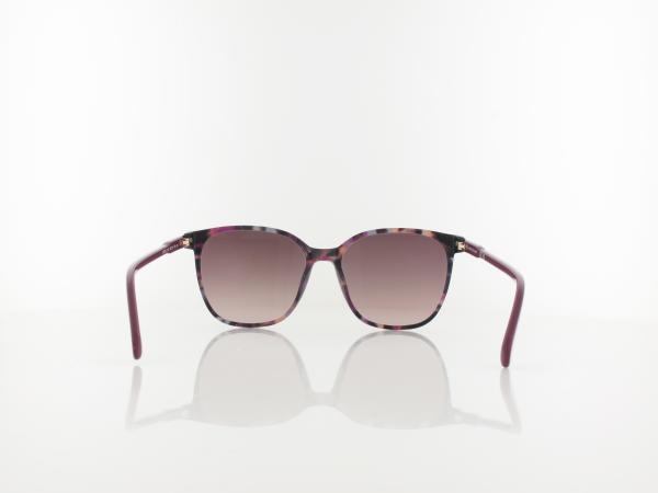 Longchamp | LO612S 219 54 | havana purple / brown gradient