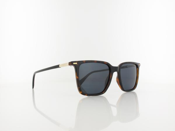 Polaroid | PLD 4183/S/X 086/C3 53 | havana / blue polarized