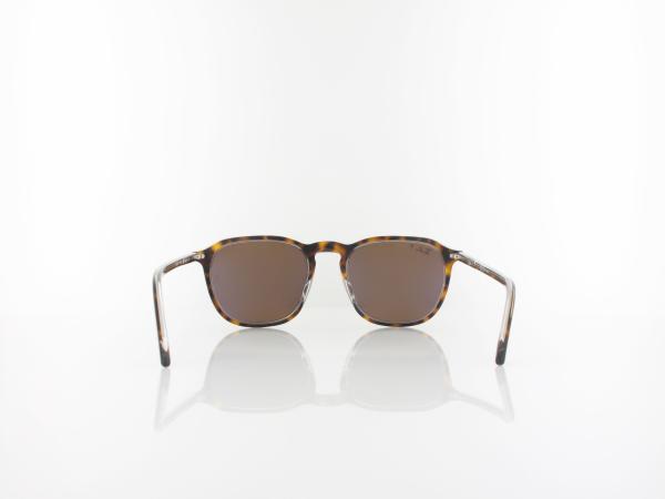 Ray Ban | RB2203 139357 52 | havana on transparent / polar brown