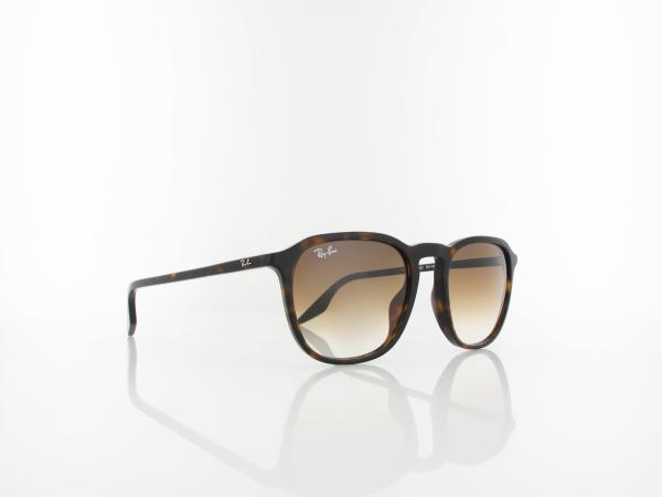 Ray Ban | RB2203 90251 52 | havana / clear gradient brown