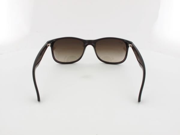 Ray Ban | Andy RB4202 607313 55 | matte brown / brown gradient
