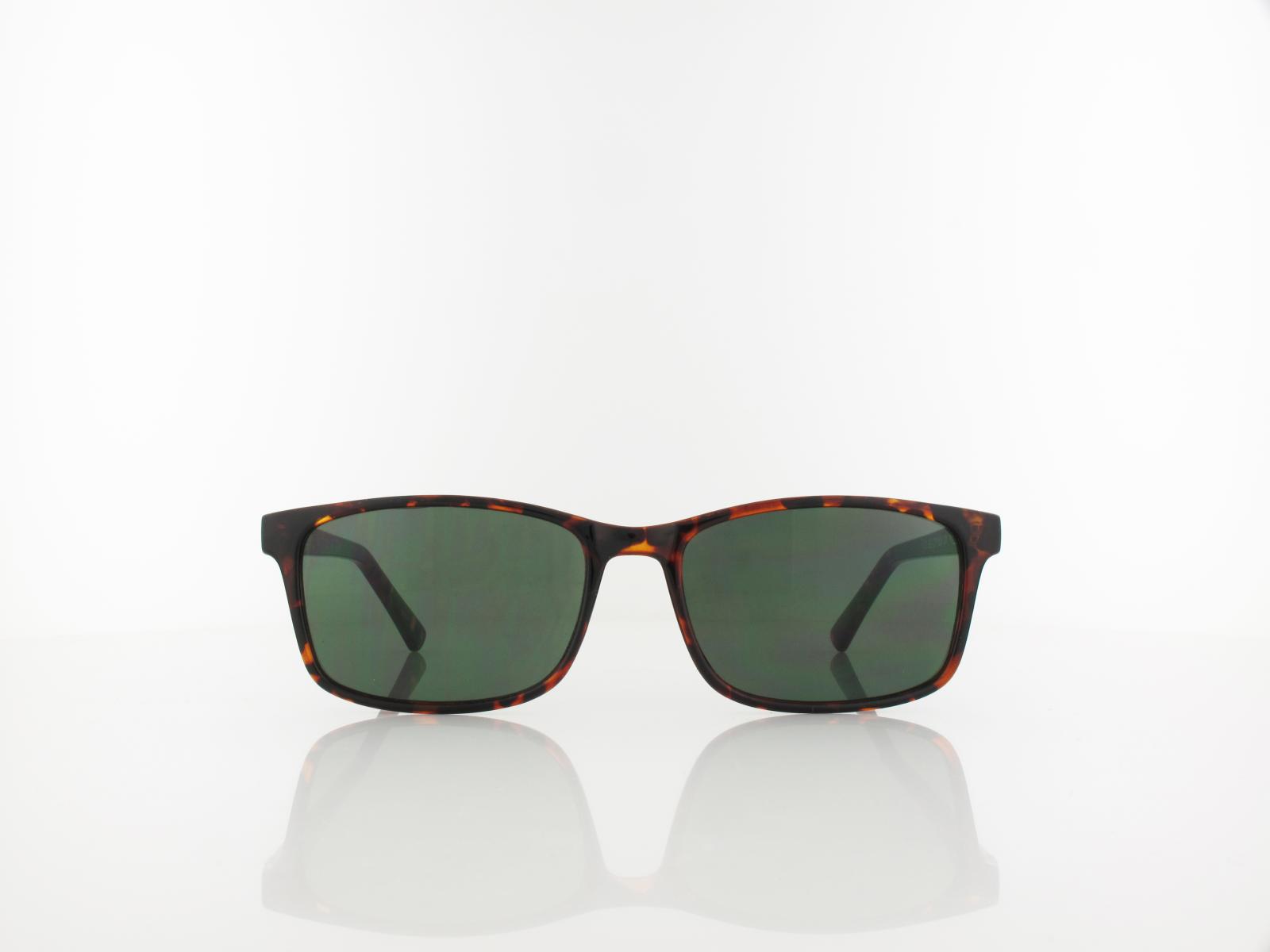 Brilando | SG-CP150 A 55 | turtle / g15