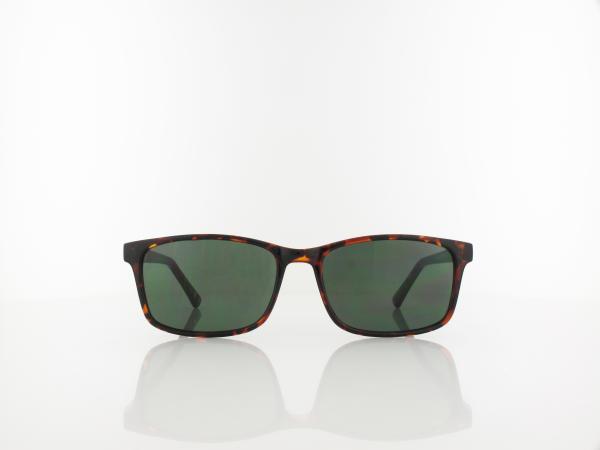 Brilando | SG-CP150 A 55 | turtle / g15