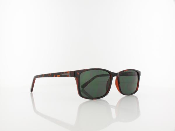 Brilando | SG-CP150 A 55 | turtle / g15
