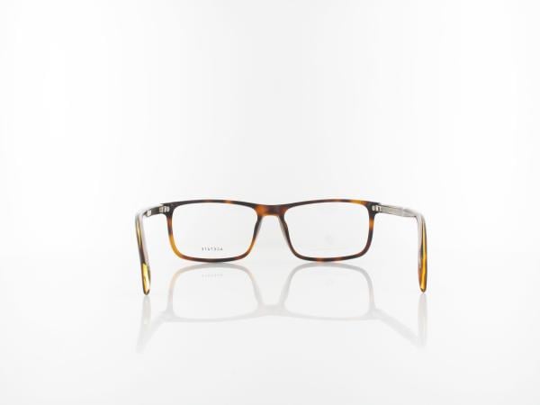 David Beckham | DB 1019 WR9 54 | brown havana