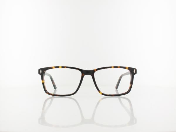 Brilando | A93 A 53 | turtle brown
