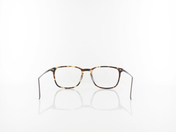 Brilando | AC41 F 52 | light turtle