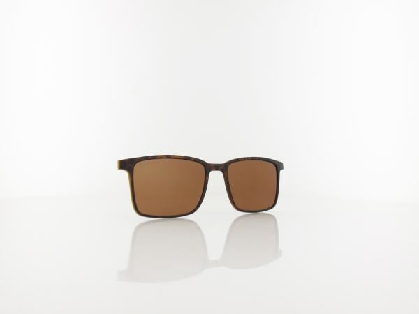 Brilando | CLIP TRC-191A 2 | turtle / brown polarized