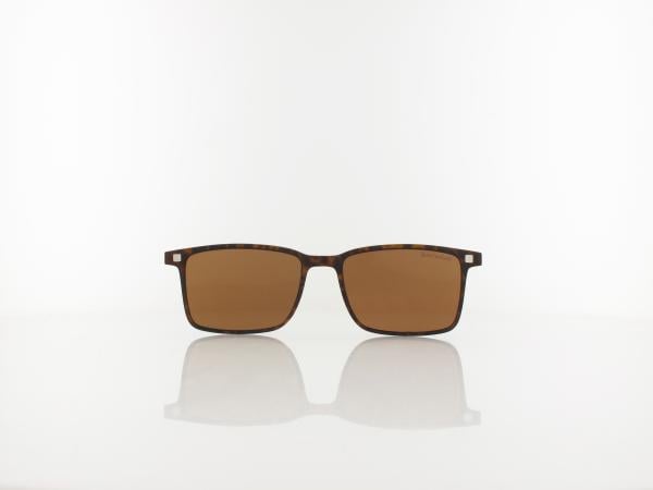 Brilando | CLIP TRC-191A 2 | turtle / brown polarized