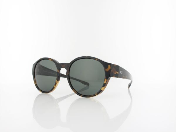 HIS polarized HPS09100-6 53 havanna / green polarized