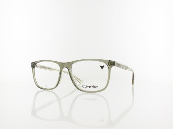 Calvin Klein CK23548 330 55 sage