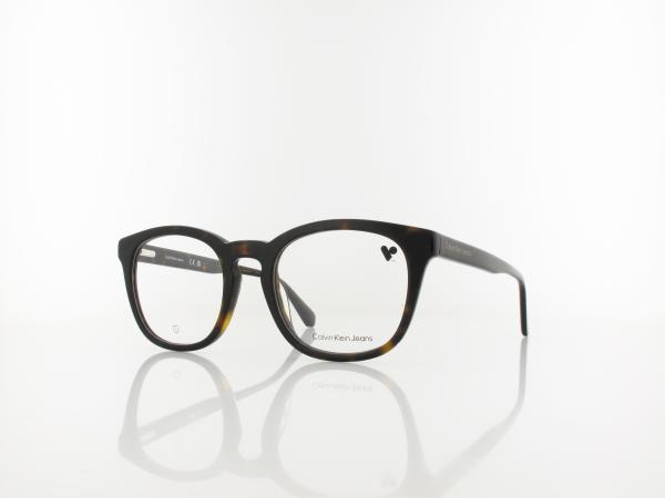 Calvin Klein CKJ24636 MAG-SET 210 51 brown havana